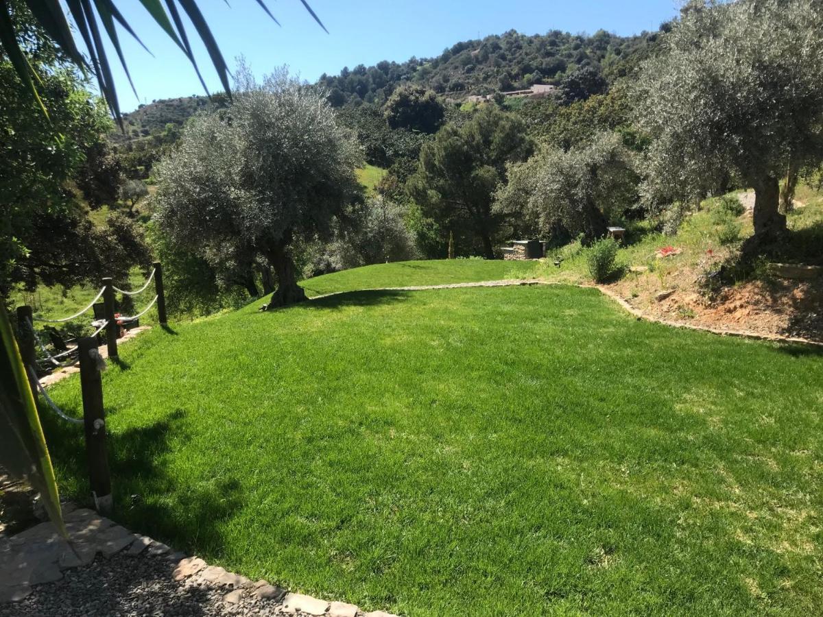 Views Apartment, Cortijo Fruitful Hills Appartement *